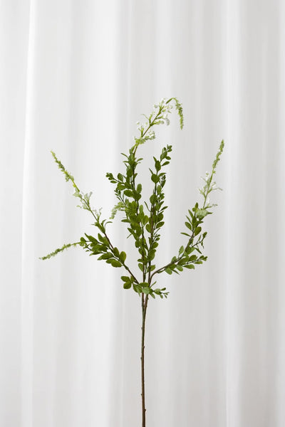 Video af sage kunstig blomst i hvid foran et hvidt gardin