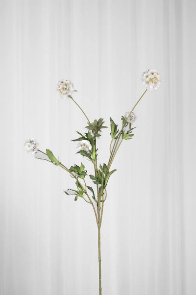 Video af Kunstig Blomst - Hvid Skabiose (flere hoveder)