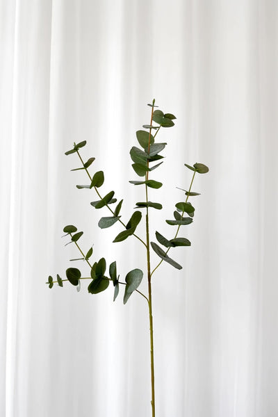 Video af Kunstig Blomst - Grøn Eukalyptus