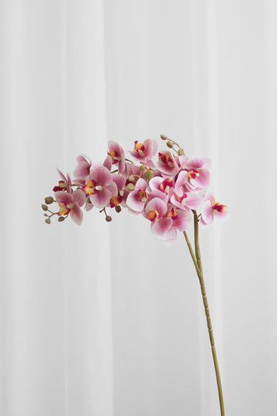 Video af Kunstig orkide i pink med 21 blomsterhoveder.