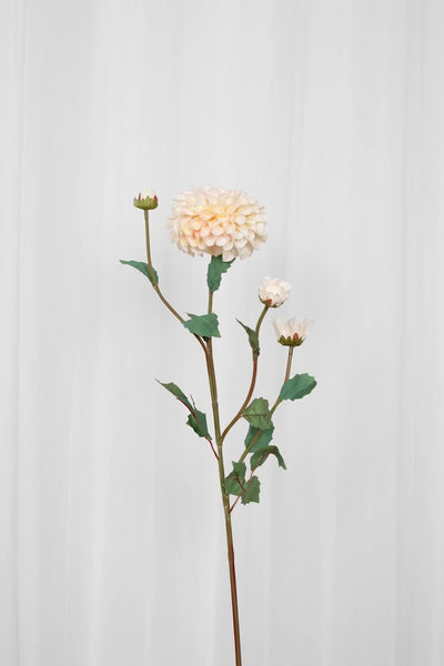 Video af Kunstig dahlia blomst i en creme hvid farve med grønne blade. 