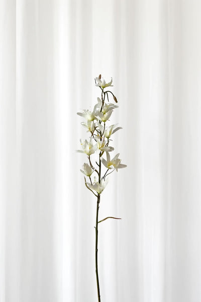 Video af Kunstig Blomst - Hvid Dendrobium