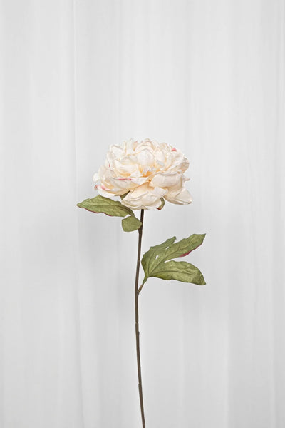 Video af Kunstig pæon i en creme hvid farve.