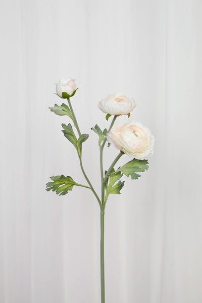 Video af Kunstig hvid ranunkel blomst.