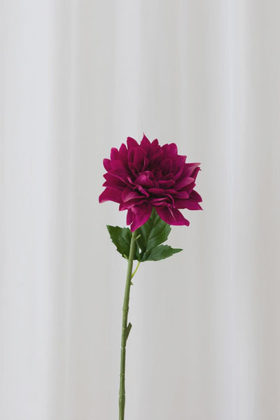Video af Naturtro kunstig dahlia blomst I hot pink med reel touch følelse.