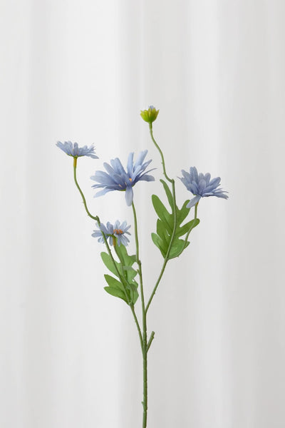 Video af daisy kunstig blomst i blå foran et hvidt gardin.