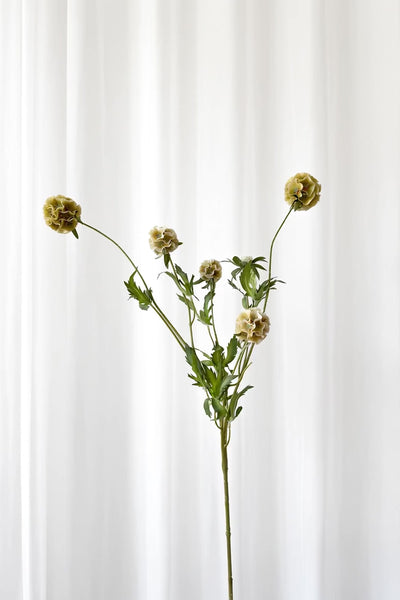 Video af Kunstig Blomst - Støvet gul Skabiose (flere hoveder)